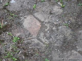iesa della Misericordia-03-05-2014 17-18-49